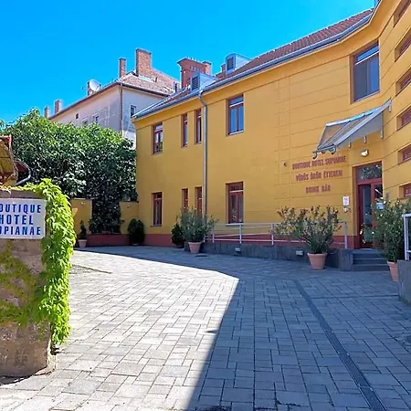 Boutique Sopianae Πετς