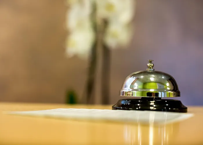 酒店 索皮阿娜精品酒店 3*