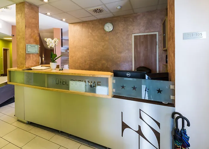 索皮阿娜精品酒店 3* 佩奇