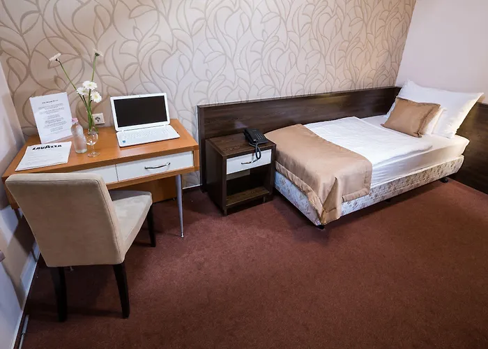 酒店 索皮阿娜精品酒店 3*