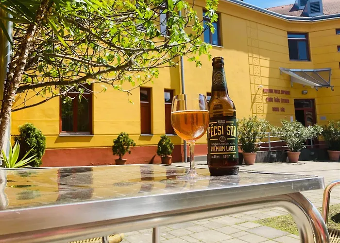 索皮阿娜精品酒店 酒店 佩奇