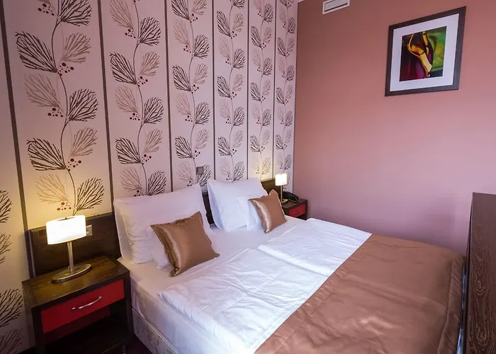 酒店 索皮阿娜精品酒店